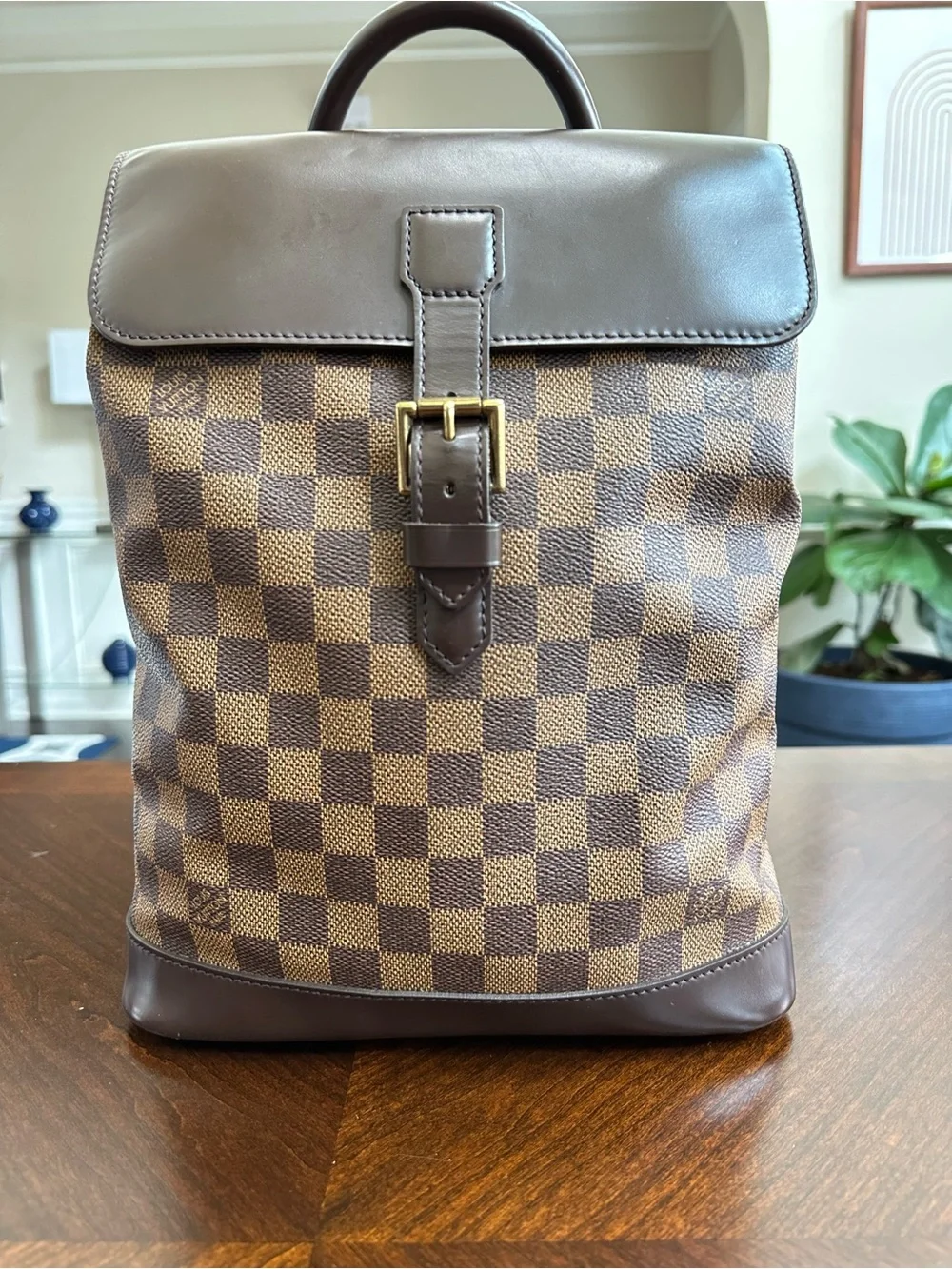Louis Vuitton classic louis
